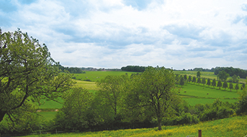 Groene omgeving van Valkenburg