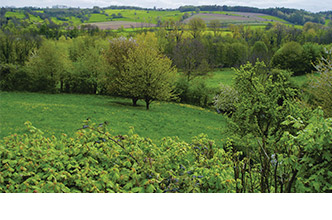 Omgeving Valkenburg